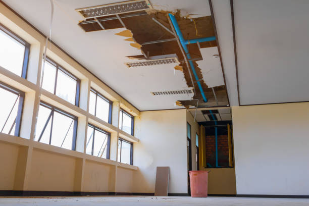 Best Professional water damage repair  in Walcott, IA