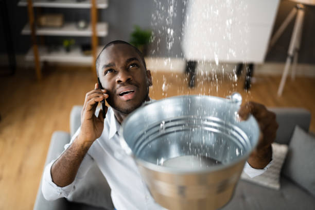Best 24/7 water damage repair  in Walcott, IA