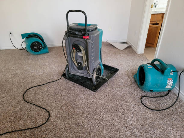 Best Water damage restoration near me  in Walcott, IA