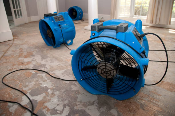 Best Flood restoration services  in Walcott, IA