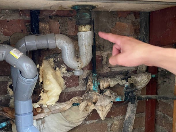 Professional Water damage restoration in Walcott, IA