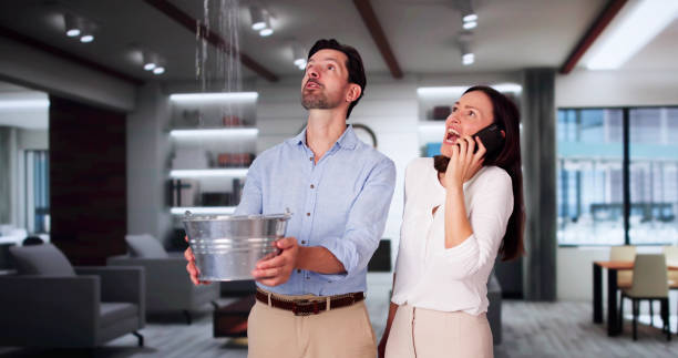  Walcott, IA Water damage restoration Pros